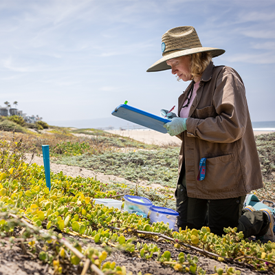 environmental science professor documenting research on beach